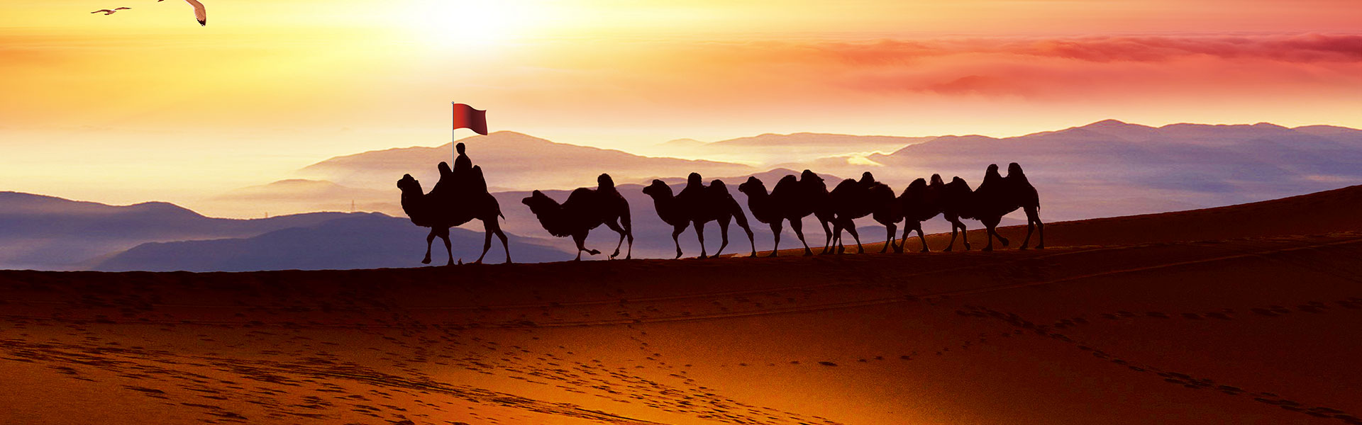 優(yōu)色專(zhuān)顯